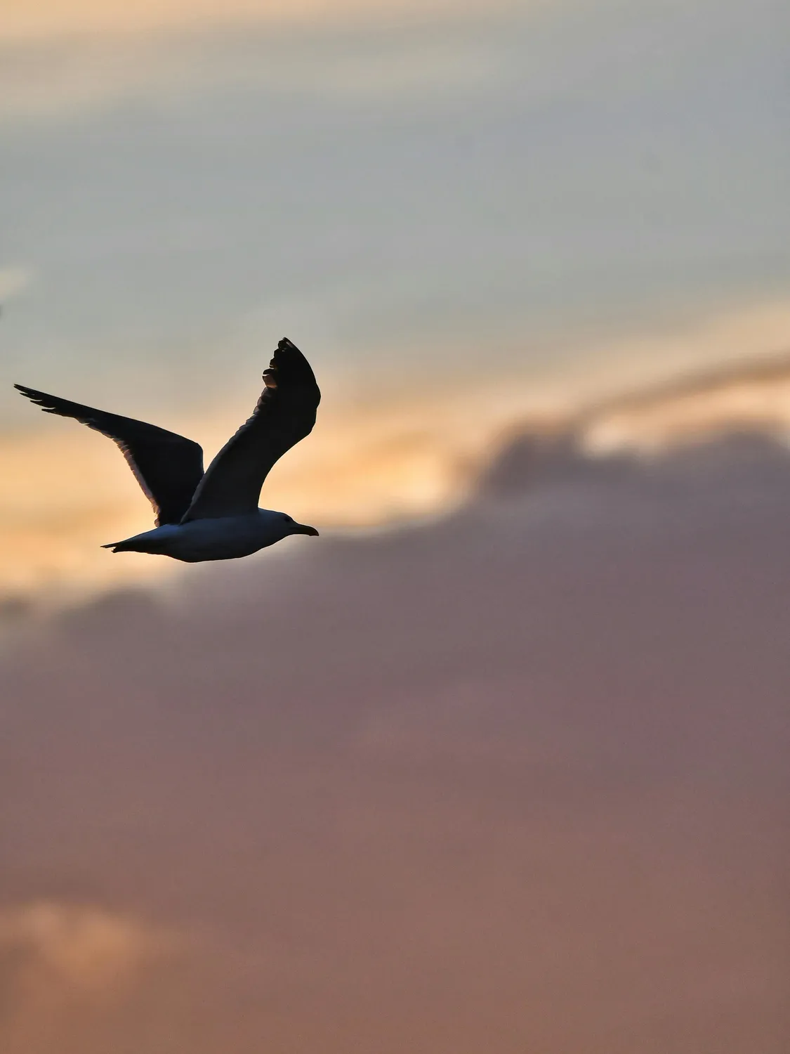 energeticienne vern sur seiche